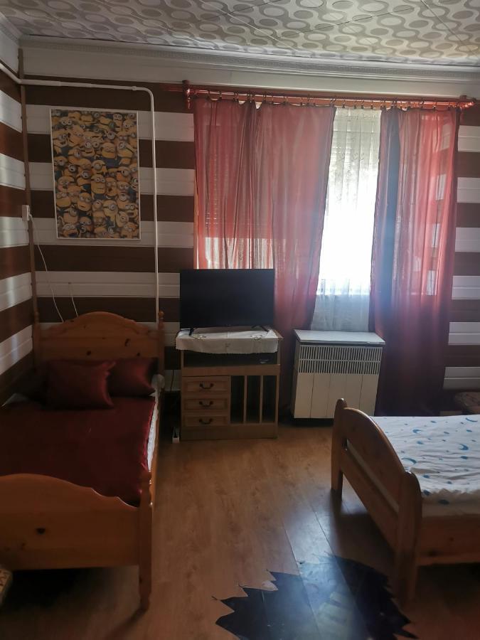 Edit Vendeghaz Tiszaujvaros Bagian luar foto